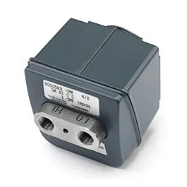 Ashcroft AM21CADINH2O/1A Modulo di Pressione Differenziale