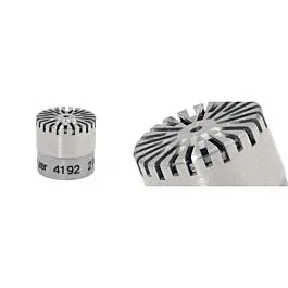 Microfono Bruel & Kjaer 4192 da 1/2"