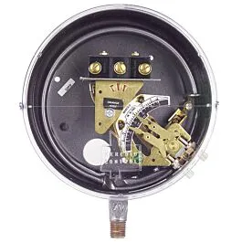 Interruttore di Pressione a Tubo Bourdon Dwyer DS-7231-153-7