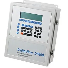 Panametrics DF868-2-11-101000-0 Flowmetro per installazione fissa