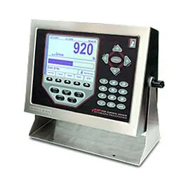 Rice Lake Weighing Systems 69770 Display Pannello