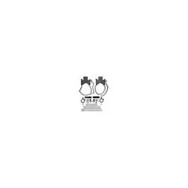 Pinza di Allineamento Albero Starrett S668DZ